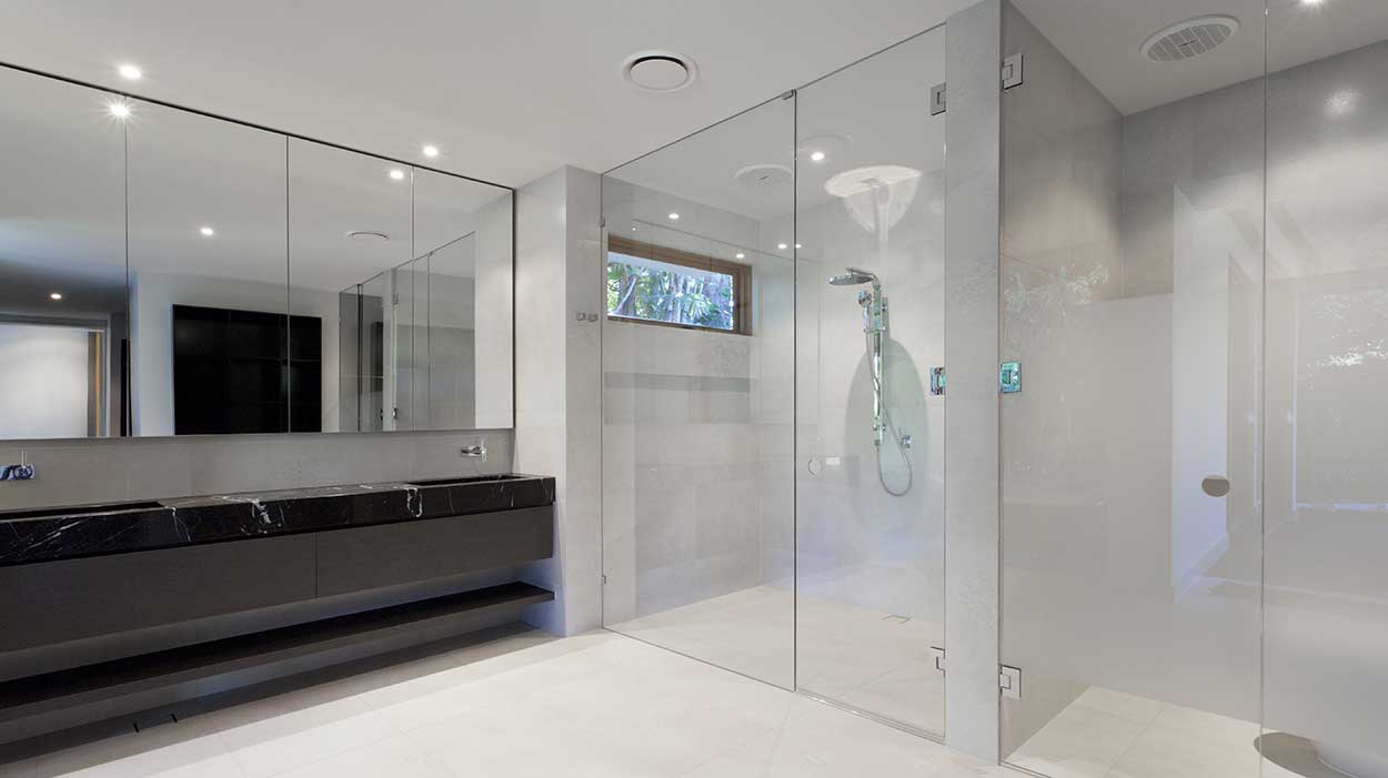 Frameless Shower Door